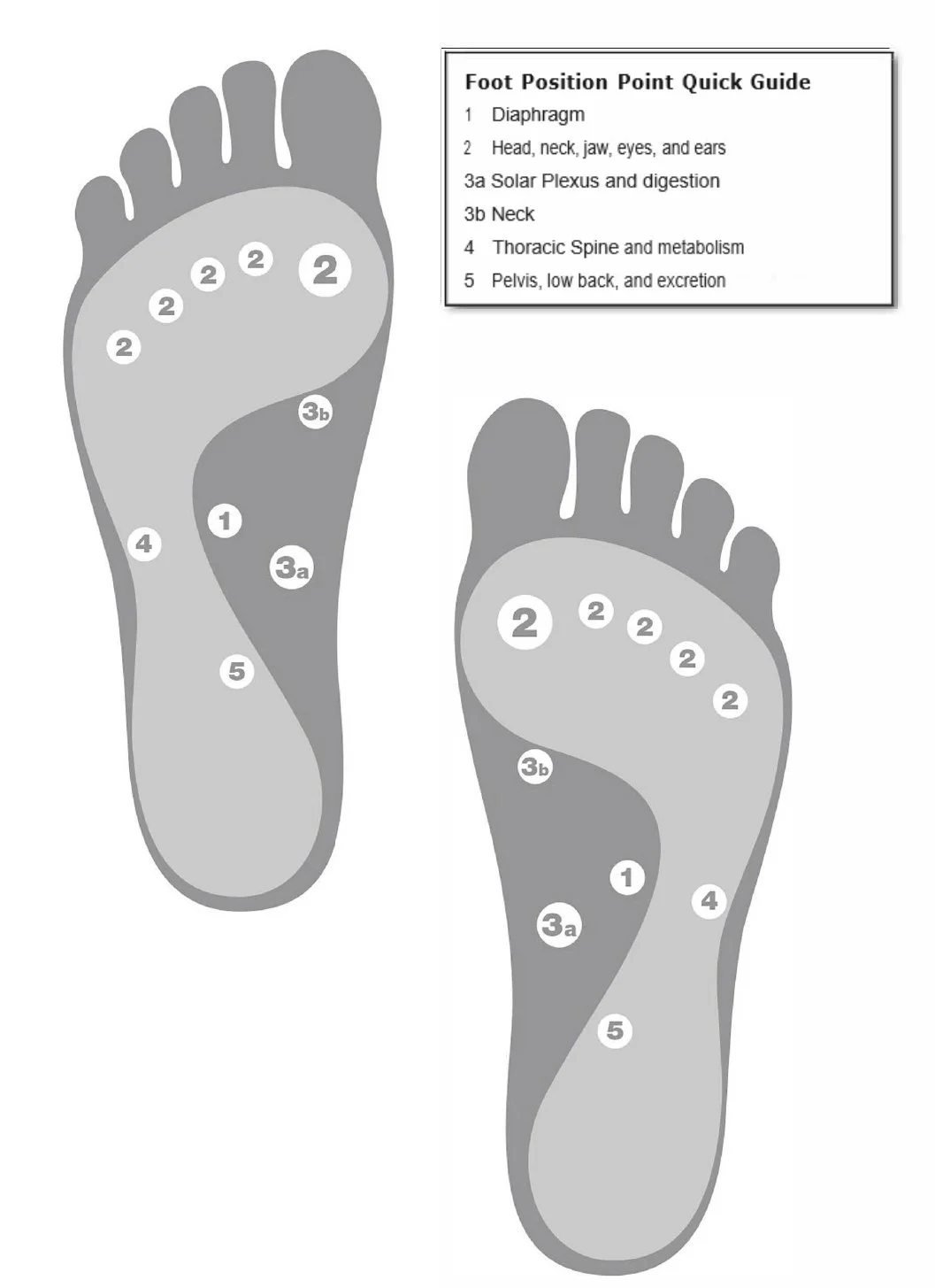 Foot Position Point Diagram