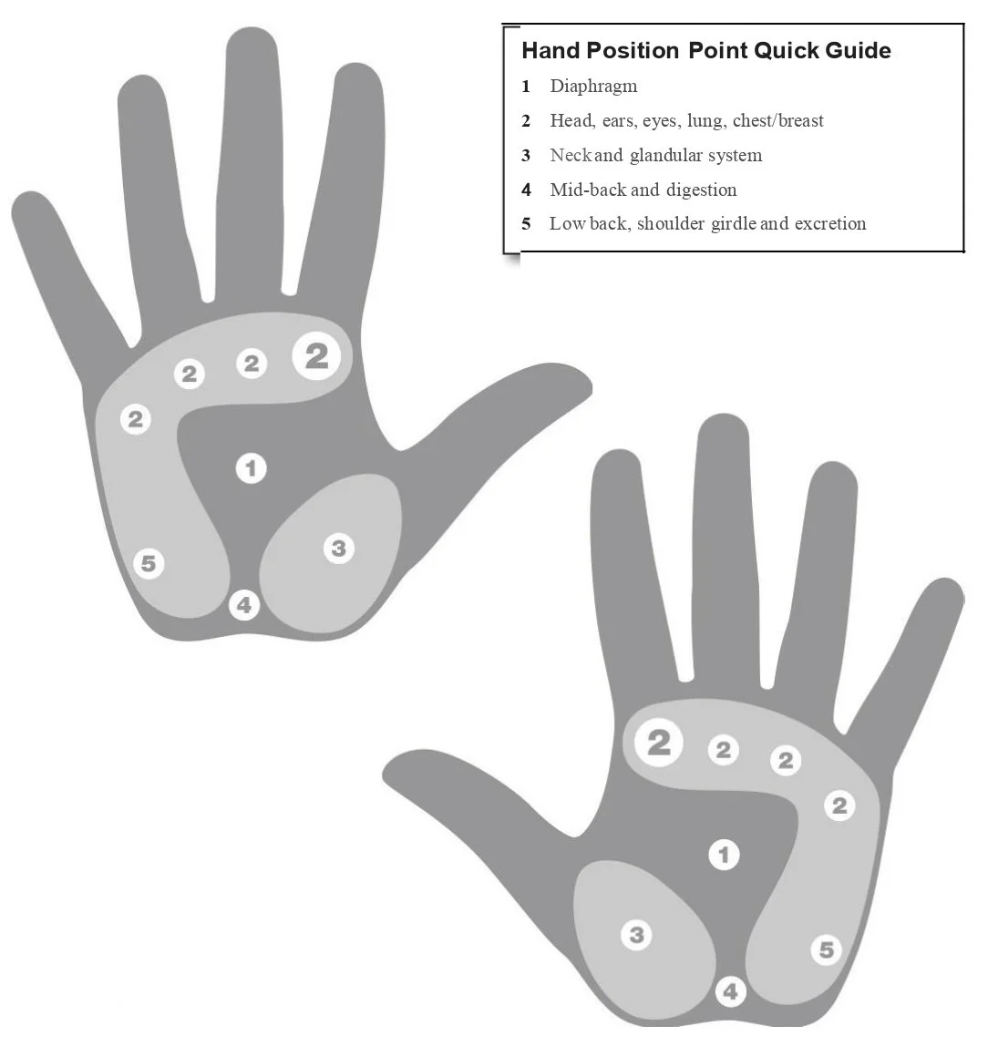 Hand Position Point Diagram